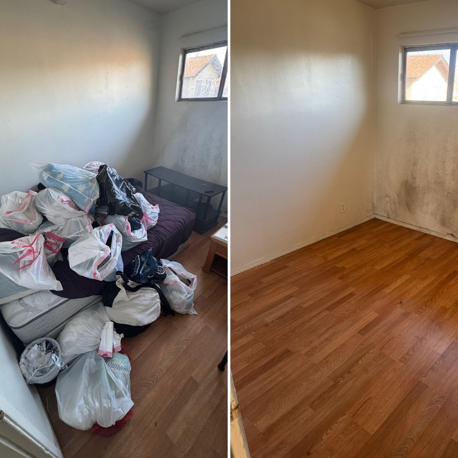 Hoarder estate cleanout before and after